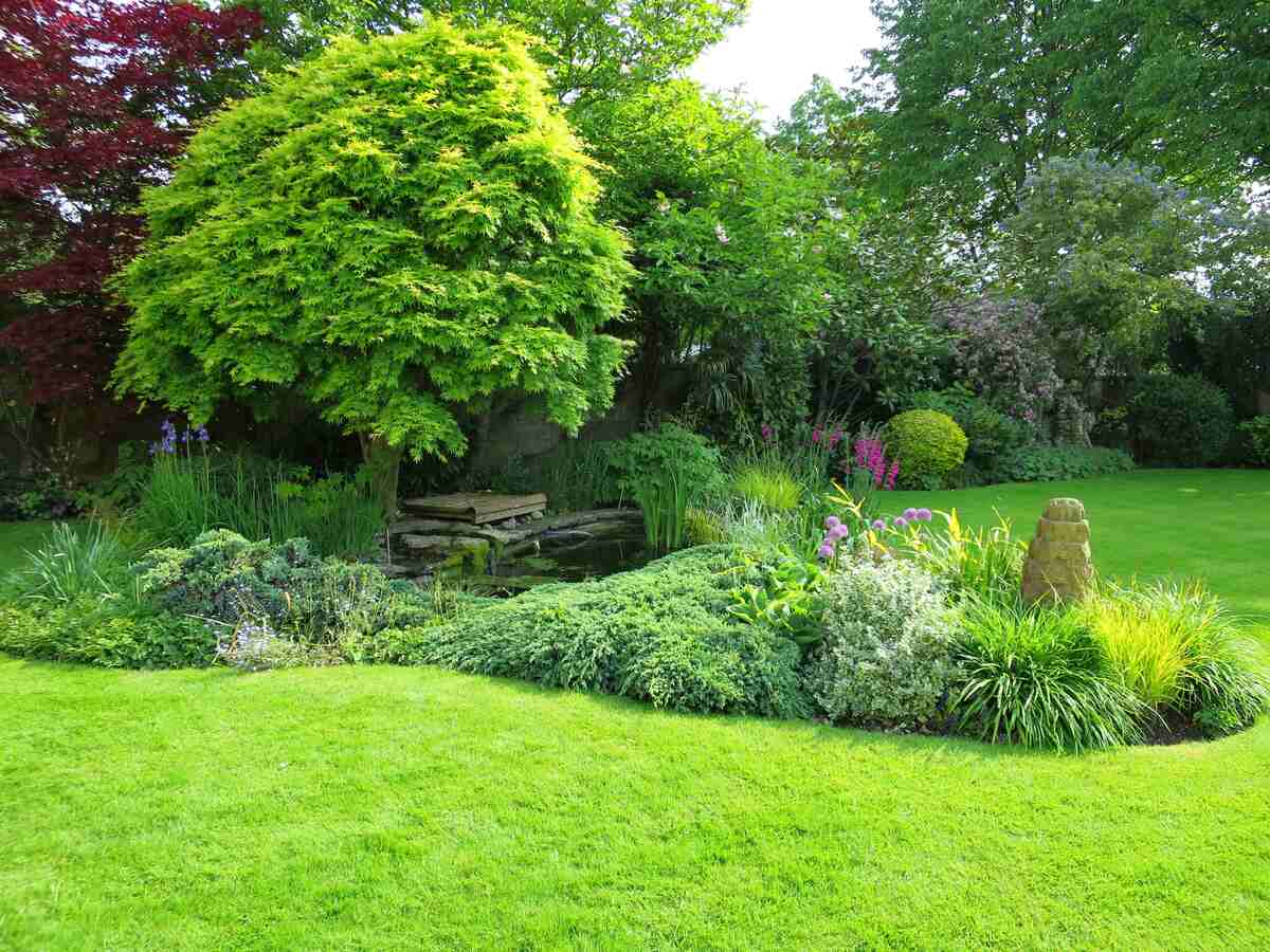 tree-grass-plant-lawn-flower-green-613878-pxherecom-1